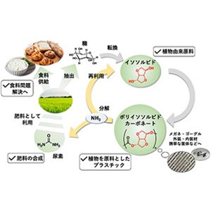 プラスチックを肥料に変換するリサイクルシステムを開発 ～プラスチックの廃棄問題と食料問題の同時解決に向けて～