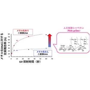 光反応で遺伝子の小さな「しるし」を検出可能に～知りたい遺伝子のメチル化修飾を測定する新しい遺伝子診断法への応用に期待～