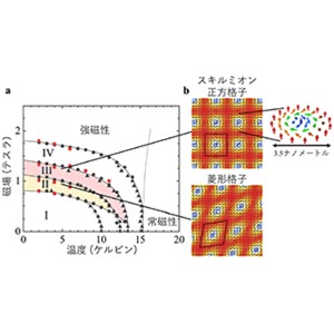 超高密度な磁気渦を示すシンプルな２元合金物質を発見～次世代磁気メモリーへの応用に期待～