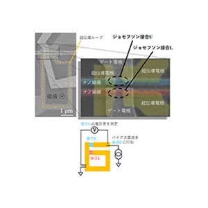 素子間の結合による超伝導電流の非局所制御に成功～将来的な超伝導量子計算への応用に期待～