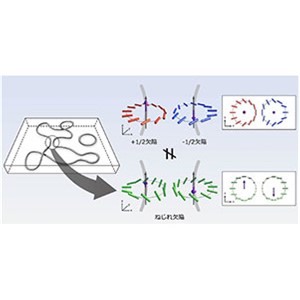 液晶中に生じるトポロジカルな「ひも」の３次元的な動きを捉えることに成功～トポロジーが結ぶ分野横断的なメカニズムの提案へ～