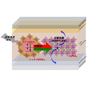 微弱な近赤外光を可視光に変換して検出する技術を開発～省エネを実現、光センサー感度や太陽光利用効率の飛躍的向上に期待～