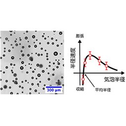 個々のマイクロバブルが従うサイズ変化の法則を解明～目に見えない気泡であるナノバブルの安定性解明に期待～