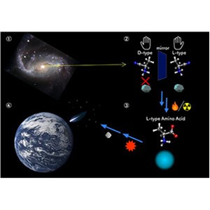 アミノ酸のホモキラリティ獲得の分子機構を解明～量子化学計算で生命の起源を探る～