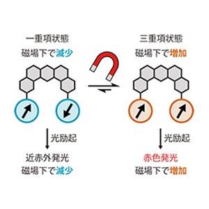 磁場で発光色が変わる特性をジラジカル１分子で実現