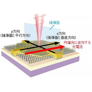 異なる２次元結晶を重ねた界面でスピン偏極した光電流が流れることを発見～２次元物質界面における新しい光スピントロニクス機能の開拓～