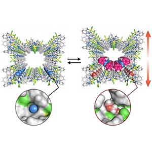 酵素のように孔の形が変わる結晶～動的高次機能を備えた触媒などへの応用に期待～