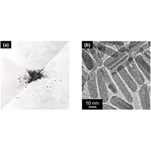 ついに実現 鉄から高活性・高耐久性触媒を開発～稀少金属を用いない次世代型触媒反応プロセスの開発に期待～