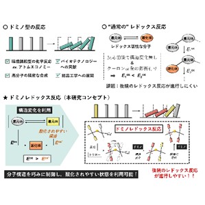 分子構造を操りドミノ型のレドックス反応を初めて実現