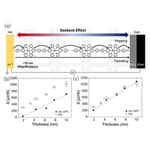 最高の熱起電力を持つ分子熱電変換デバイスを開発～光量子アルゴリズムにより電流が誘起する分子振動も予測～
