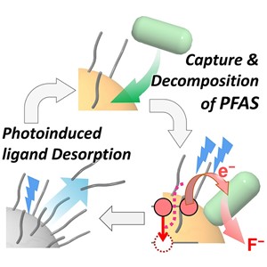 難分解性のPFASを可視光で温和に分解する技術の開発 ー持続可能なフッ素リサイクルに繋がる成果ー