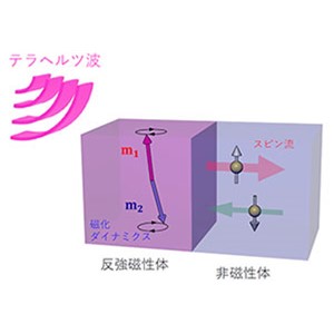 テラヘルツ波がスピン流に変換される機構を実証・解明～通信、メモリー技術を革新する スピントロニクス 発展に寄与～