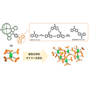 植物に学ぶ触媒デザインで酸素発生触媒の高性能化に成功～人工光合成の実現に向けた金属錯体ポリマー材料の開発～