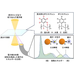 有機材料中の水素と重水素の分布を単一分子スケールで識別することに成功～新たな電子線分光技術により、分子や結合位置の特定に効力～