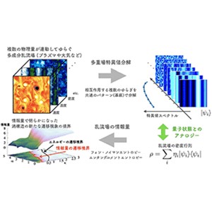 もつれ合うプラズマの渦と流れを『情報』で読み解く～量子情報理論にヒントを得た乱流構造の解析手法～