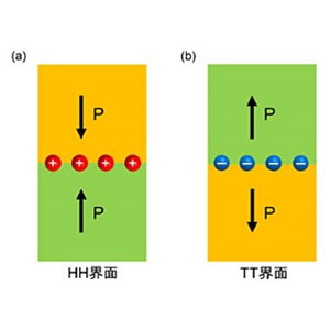 強誘電体界面の電荷分布直接観察に成功～強誘電体デバイスの理解と性能向上を加速～