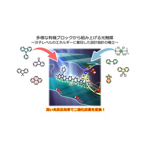 エネルギー構造を制御した有機高分子光触媒による高効率CO2変換の実証 ―貴金属に頼らない人工光合成系の実現に向けて―