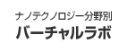 ナノテクノロジー分野別バーチャルラボ