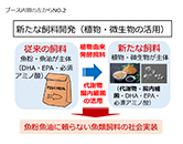 nakayama_b