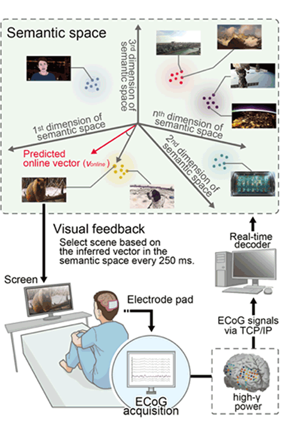 Figure 3 Imagery BMI