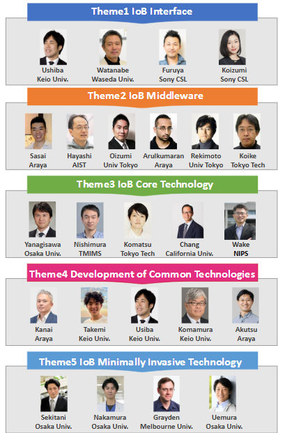 R&D theme structure of the project