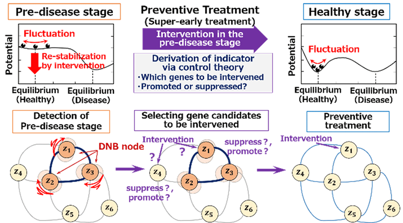 DNB Intervention theory for preventive treatment