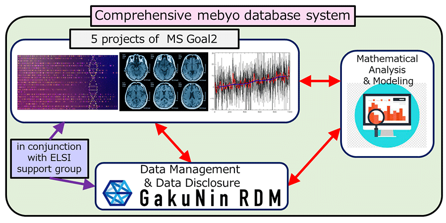 Conceptual diagram of the construction of a comprehensive Mebyo database system