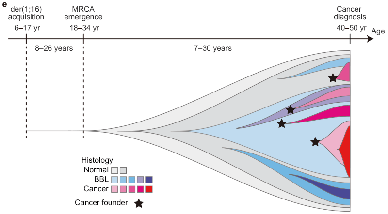 Nishimura et al., Nature 2023.