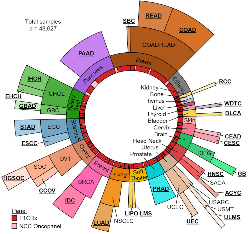 Horie et al., Cancer Discov 2024.