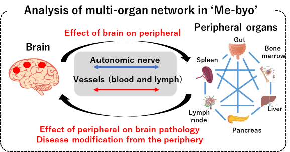 Analysis of multi-organ network in Me-byo