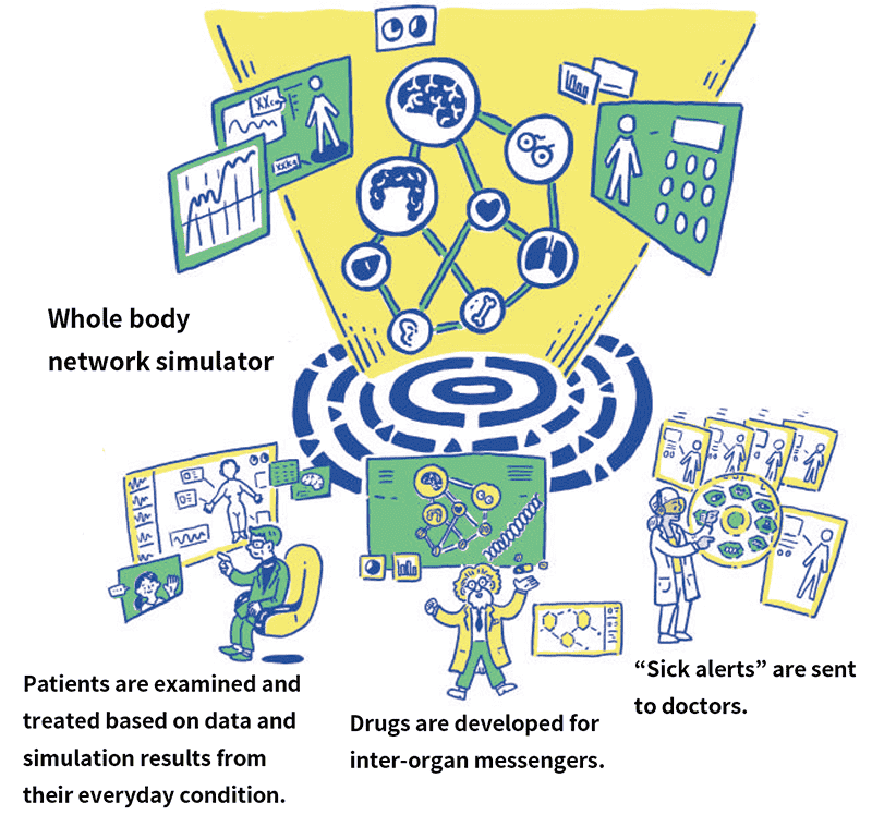 Whole body network simulator / Patients are examined and treated based on data and simulation results from their everyday condition. / Drugs are developed for inter-organ messengers. / “Sick alerts” are sent to doctors.