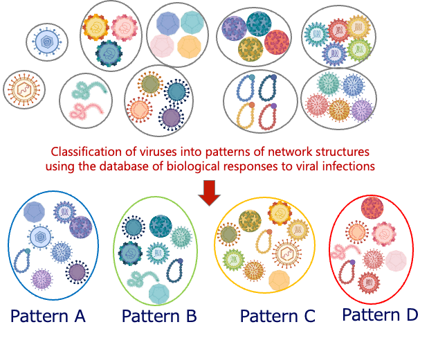 Classification of viruses into patterns of network structures using the database of biological responses to viral infections