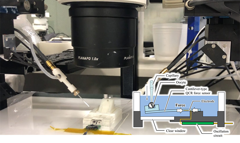 Fig. 2 Micro-robotic tool with a force sensor