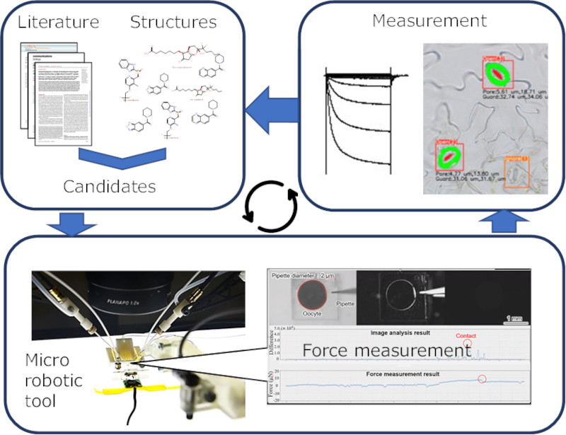 図Fig.1 Automated exploration of bio-stimulant candidates