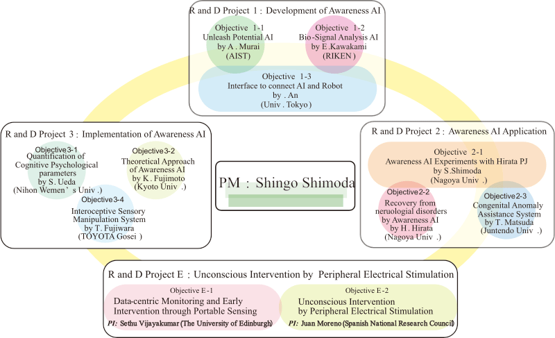 R&D theme structure of the project