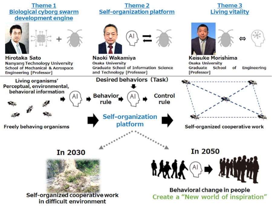 R&D theme structure of the project