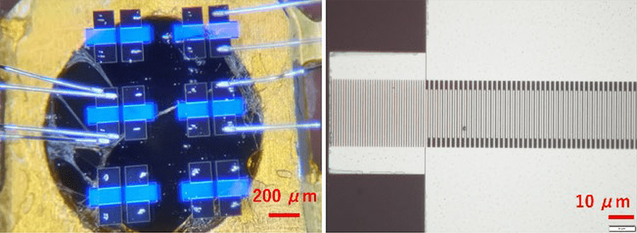 Fig. 3. (Left) 2-port diamond SAW device, (Right)<br>enlarged view of electrode in 1-port device.