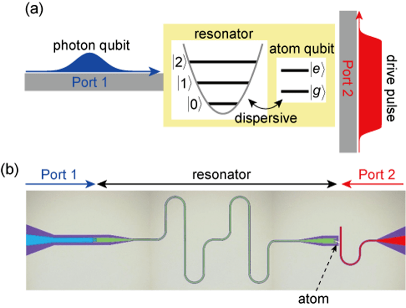 Fig. 4. The SWAP gate between a superconducting-atom qubit and a microwave-photon qubit. (a) conceptual view, (b) micrograph of the device.