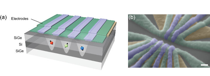 Fig.1 (left) Schematic of 3-qubit device. (right) Scanning electron micrograph. Scale bar, 100 nm (1 nm = 10-9 m).