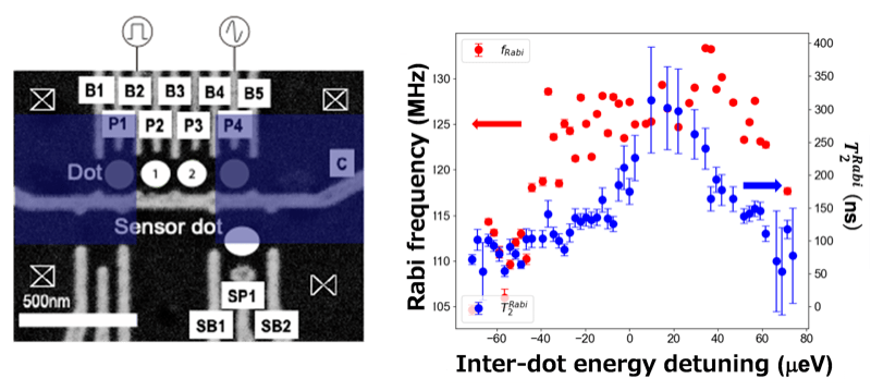 (Left) Electron micrograph of GaAs multiple quantum dots. Double quantum dots between micromagnets (blue squares). (Right) Rabi frequency (red circles) and Rabi relaxation time (blue circles) as a function of inter-dot energy detuning of double quantum dots. High-speed operation above 100 MHz and long Rabi decay time near zero detuning are realized. 