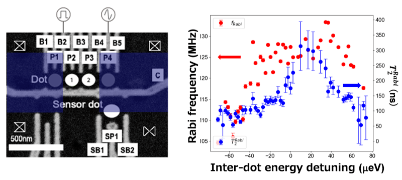(Left) Electron micrograph of GaAs multiple quantum dots. Double quantum dots between micromagnets (blue squares). (Right) Rabi frequency (red circles) and Rabi relaxation time (blue circles) as a function of inter-dot energy detuning of double quantum dots. High-speed operation above 100 MHz and long Rabi decay time near zero detuning are realized.