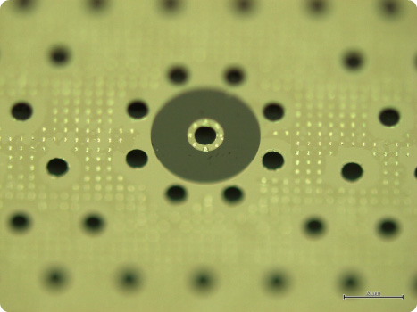 Test chip for vertical transmission module