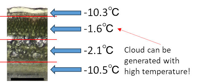 Fig. 2: Ice nucleation activity inside blueberry branches. The temperature at which freezing occurs varies depending on the location. From the perspective of weather control, it is desirable for freezing to occur at higher temperatures. It is important to search for substances that can freeze even at such high temperatures.