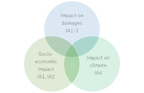 Outline of impact assessment group