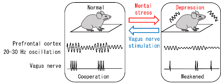 Outcome 2 — illustrative summary