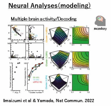 Neural Analyses (modeling)