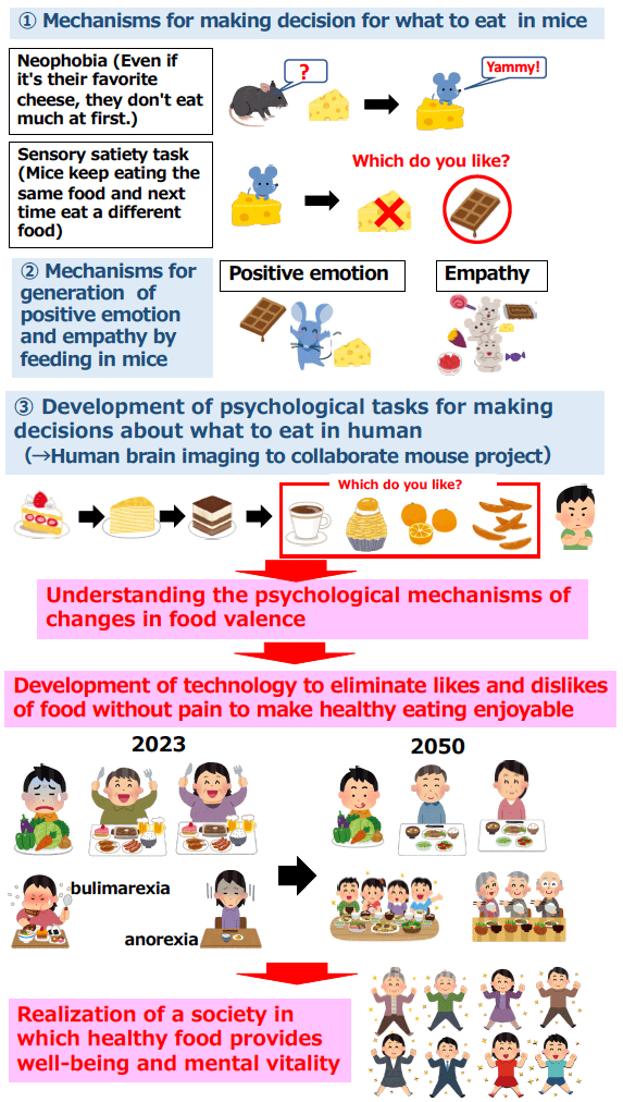 R&D theme structure of the project