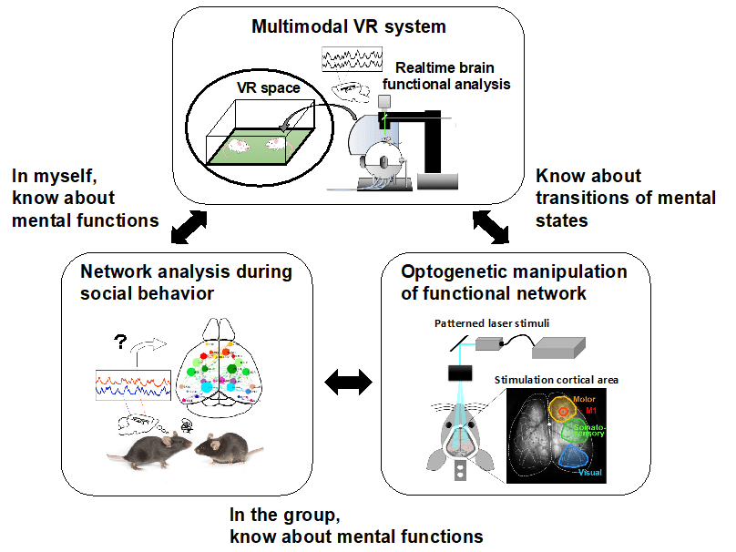 R&D theme structure of the project