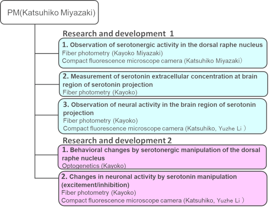 R&D theme structure of the project