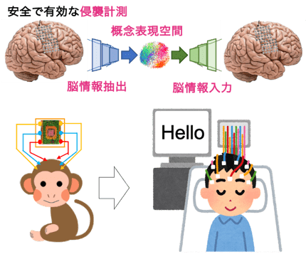 図1 侵襲的BMIの開発<br>動物を用いて侵襲的BMIの開発を行い、ヒトへ応用します。特に、AIを使って想起や意図内容を推定し、思いを言葉にし、脳へ情報を入力する技術を開発します。